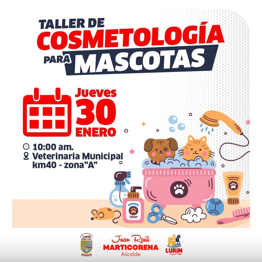 Archivo de JPG sobre una publicación del área de imagen