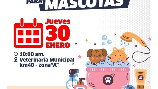 Archivo de JPG sobre una publicación del área de imagen