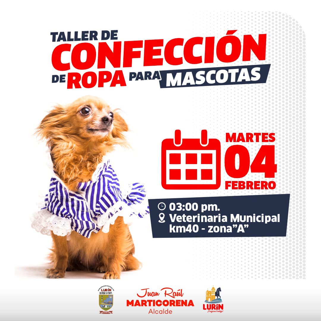 Archivo de JPG sobre una publicación del área de imagen