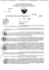 Vista preliminar de documento RDR 11134-2024