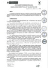 Vista preliminar de documento rd025-2025
