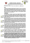 Vista preliminar de documento RESOLUCION DE GERENCIA GENERAL REGIONAL-000047-2025-GG