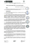 Vista preliminar de documento rd291-2024