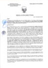 Vista preliminar de documento RD-0547-2025-DSAIA-DIRIS-LE-MINSA