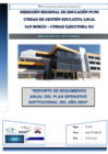 Vista preliminar de documento Reporte de seguimiento del POI 2024