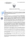 Vista preliminar de documento RD-0552-2025-DSAIA-DIRIS-LE-MINSA