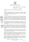 Vista preliminar de documento Resolución Nº 0031-2025-GM-MSS