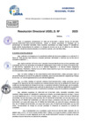 Vista preliminar de documento Resolucion Directoral N° 000228-2025