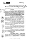 Vista preliminar de documento RDR 11141-2024
