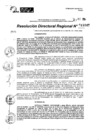 Vista preliminar de documento RDR 11142-2024