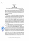 Vista preliminar de documento Resolucion Gerencial Regional 142-2025000