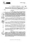 Vista preliminar de documento RDR 11144-2024