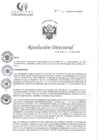 Vista preliminar de documento RD N°20-01-2025-DE-HCLLH-MINSA