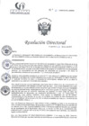 Vista preliminar de documento RD N°21-01-2025-DE-HCLLH-MINSA