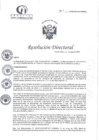 Vista preliminar de documento RD N°22-01-2025-DE-HCLLH-MINSA