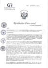 Vista preliminar de documento RD N°23-01-2025-DE-HCLLH-MINSA 