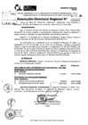Vista preliminar de documento RDR 11147-2024