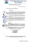 Vista preliminar de documento resolucion 15