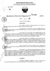 Vista preliminar de documento RDR 11148-2024
