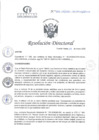 Vista preliminar de documento RD N°29-01-2025-DE-HCLLH-MINSA
