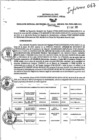 Vista preliminar de documento RGSR_2025_50
