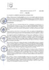 Vista preliminar de documento R.A N° 017-2025 -DESIGNACION SGLCP (1)