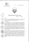 Vista preliminar de documento RD N°19-01-2025-DE-HCLLH-MINSA