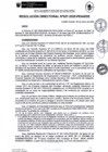 Vista preliminar de documento rd027-2025