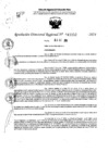 Vista preliminar de documento RDR 11152-2024