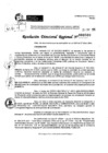 Vista preliminar de documento RDR 0509-2025