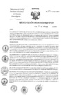 Vista preliminar de documento RA-127-2024-OEA-INCN