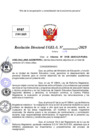 Vista preliminar de documento Resolucion Directoral N° 000229-2025