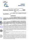 Vista preliminar de documento Resolucion Directoral N° 000230-2025