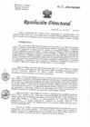 Vista preliminar de documento RD N°13-2025-DG/HNHU