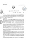 Vista preliminar de documento RD N° 027-2025-DE/HJATCH