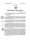 Vista preliminar de documento RD N°029-2025-HNCH-DG