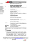 Vista preliminar de documento Informe N° 00047-2025-SENACE-PE/DEAR