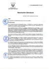 Vista preliminar de documento RD Nº 020-2025-DG-INSM