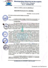 Vista preliminar de documento resolucion 31