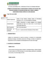 Vista preliminar de documento TDR-CONTROL VECTORIAL