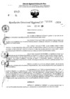 Vista preliminar de documento RDR 11166-2024