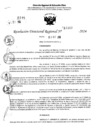 Vista preliminar de documento RDR 11167-2024