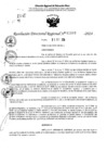 Vista preliminar de documento RDR 11168-2024