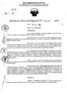 Vista preliminar de documento RDR 11169-2024