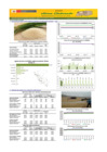 Vista preliminar de documento Boletín de abastecimiento y precio del ARROZ - 03/02/2025
