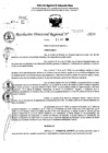 Vista preliminar de documento RDR 11170-2024