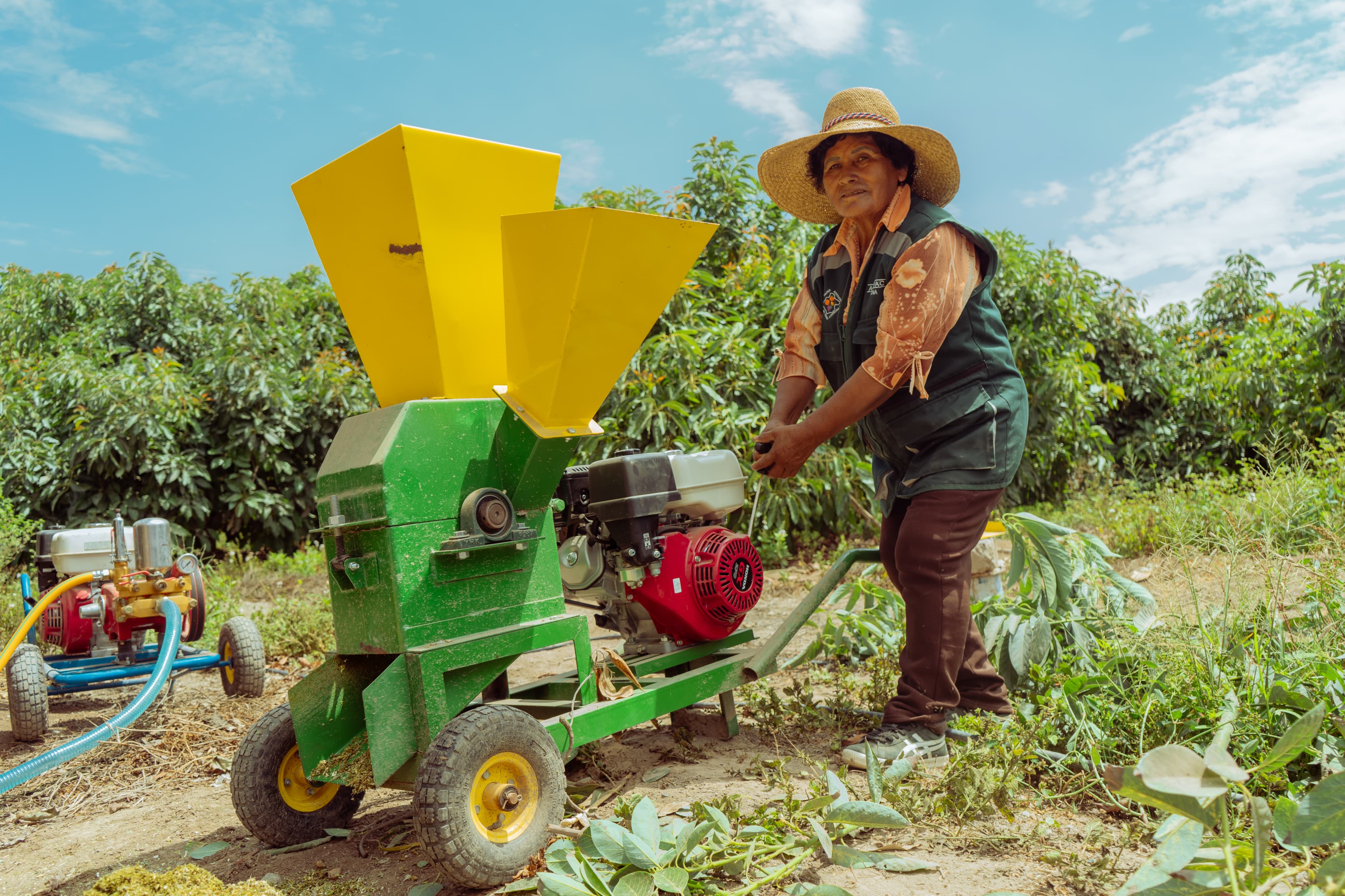 AFRUTAC mejora su producción de palta Hass gracias al Procompite