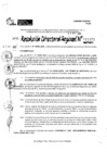 Vista preliminar de documento RDR 11173-2024