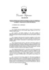 Vista preliminar de documento Decreto Supremo N° 004-2025-RE