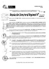 Vista preliminar de documento RDR 11176-2024